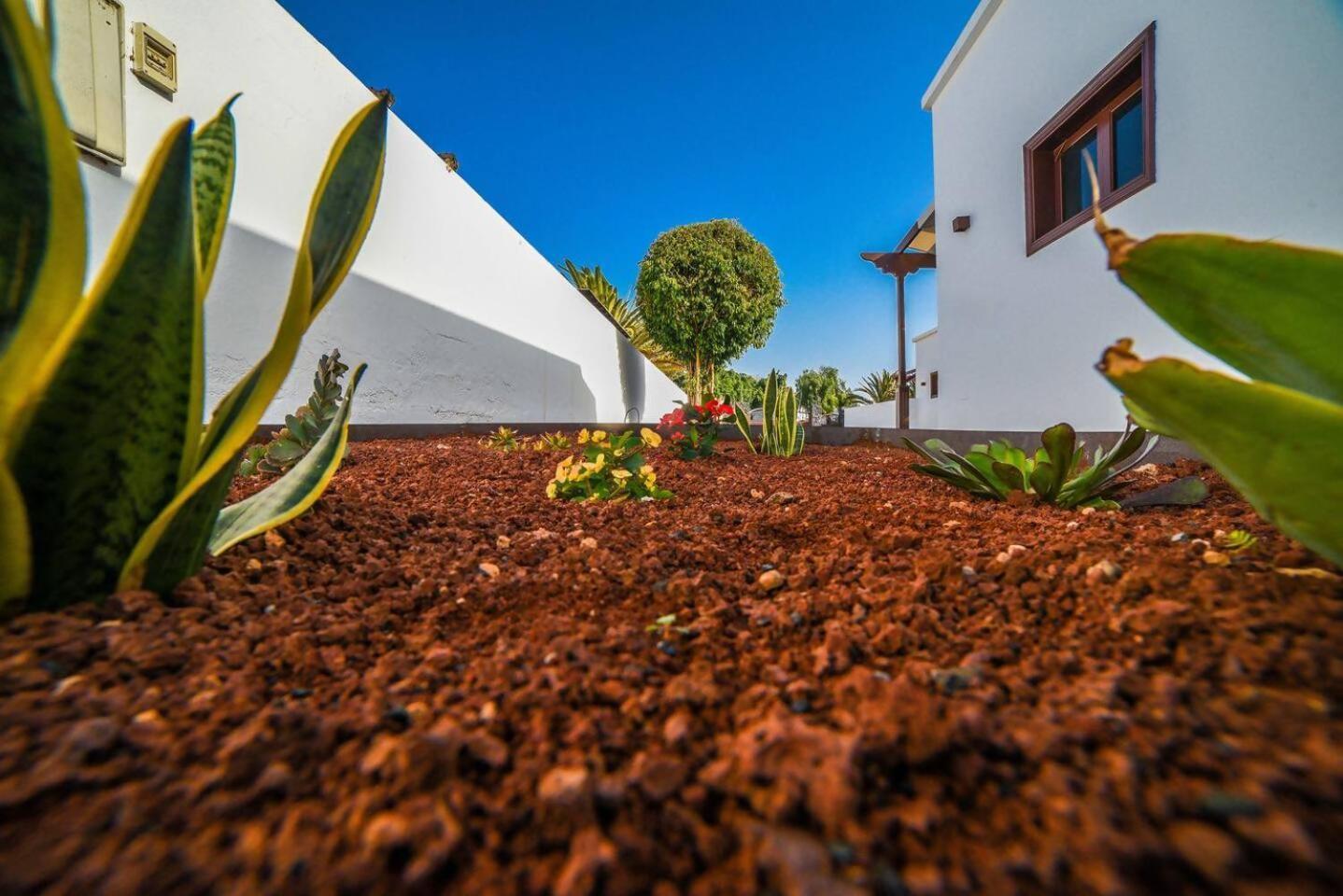 Agradable Y Familiar Con Piscina Casa Inima Βίλα Πλάγια Μπλάνκα Εξωτερικό φωτογραφία